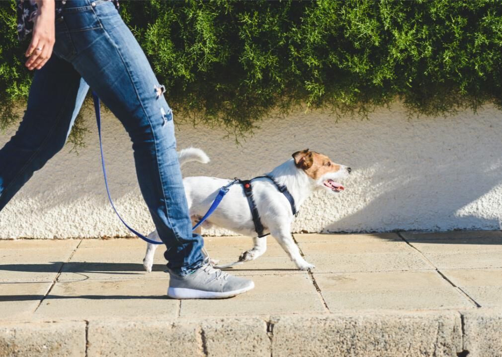 #10. Dog walking